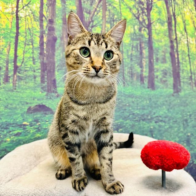 Photo of James   Meet Me At Nelly's Ark In Fairfield