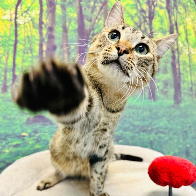 Photo of James   Meet Me At Nelly's Ark In Fairfield