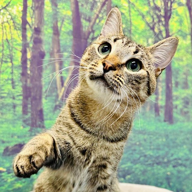 Photo of James   Meet Me At Nelly's Ark In Fairfield