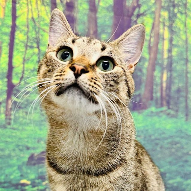 Photo of James   Meet Me At Nelly's Ark In Fairfield