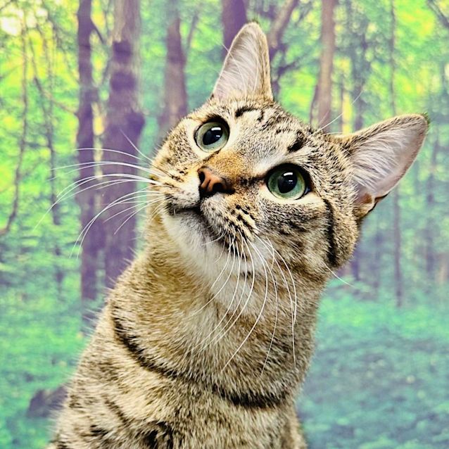 Photo of James   Meet Me At Nelly's Ark In Fairfield