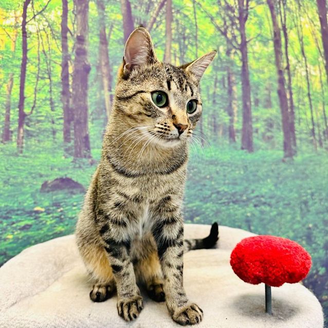 Photo of James   Meet Me At Nelly's Ark In Fairfield