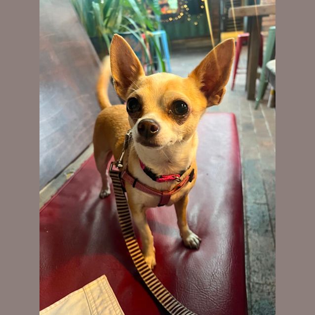 Photo of Colin