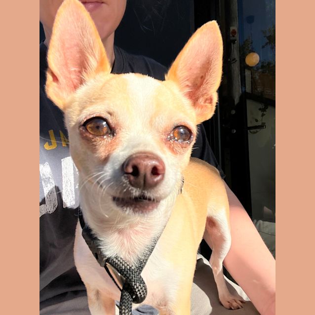 Photo of Colin