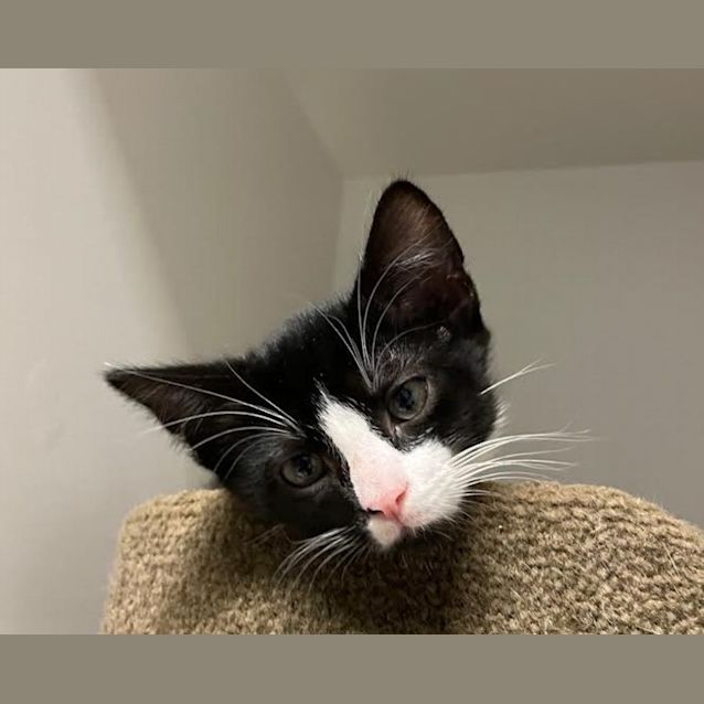 Photo of Rory & Little