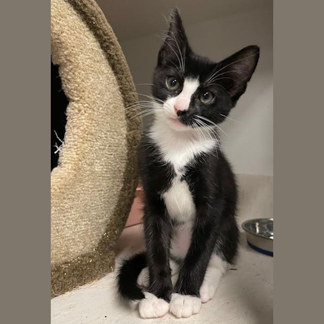 Photo of Rory & Little