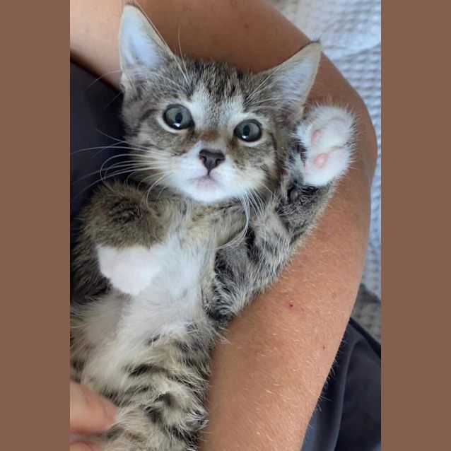 Photo of Buzz And Koda 