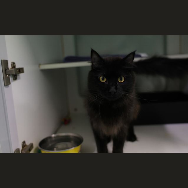 Photo of Clancy