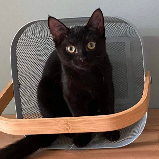 Photo of Tallulah 🧸❤️