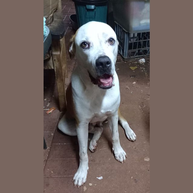 Photo of Frank (Charlie)