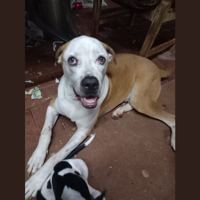 Photo of Frank (Charlie)