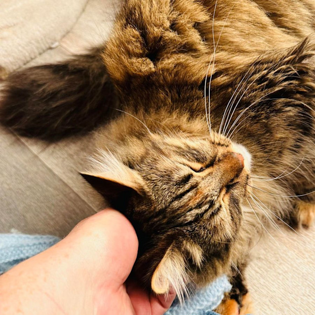 Photo of Jd & Zelda   Located In Preston