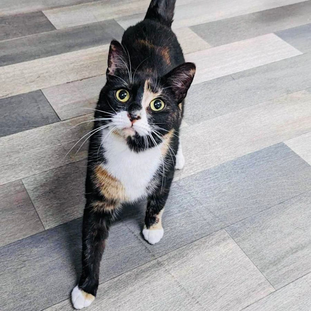 Photo of Brayden & Taylor   Located In Preston