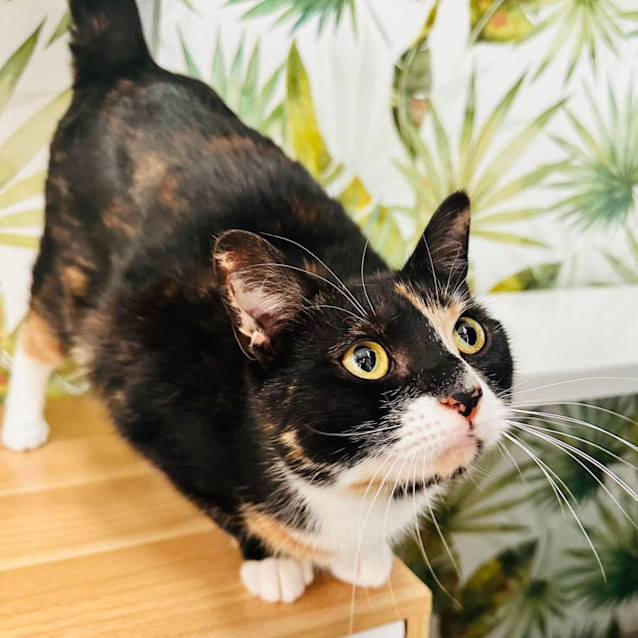 Photo of Brayden & Taylor   Located In Preston