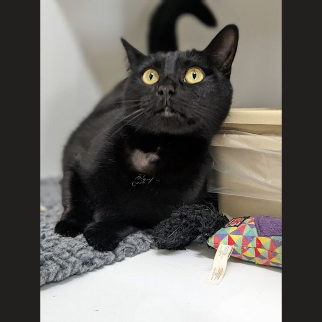 Photo of 🎵 Nebula 5084 🎵