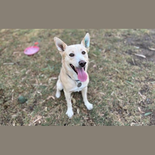 Photo of Roo