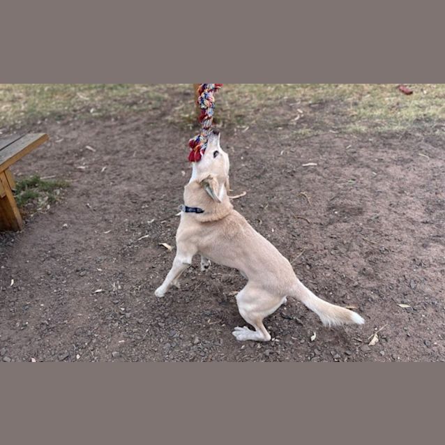 Photo of Roo