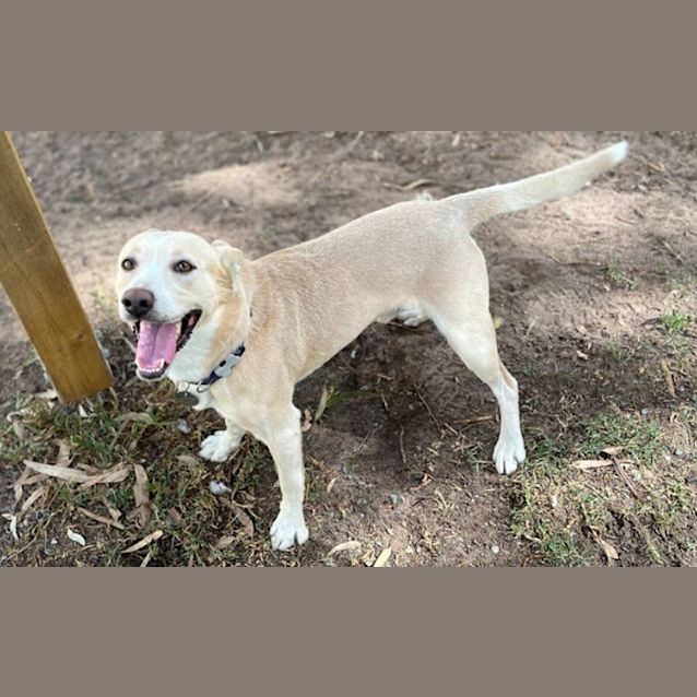 Photo of Roo