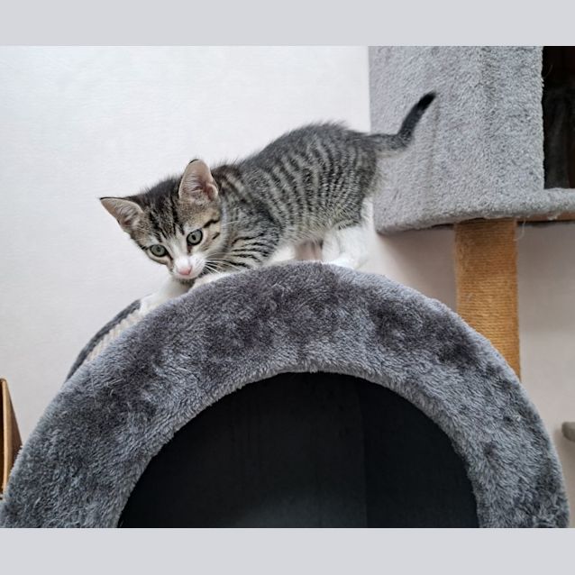 Photo of Natalie (0059)