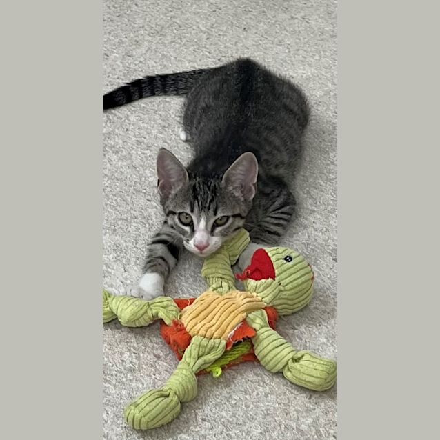 Photo of Natalie (0059)