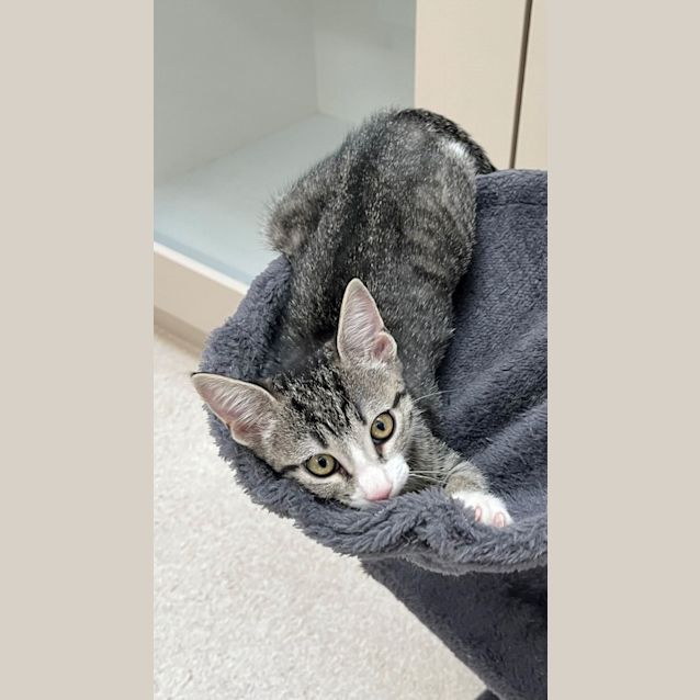 Photo of Natalie (0059)