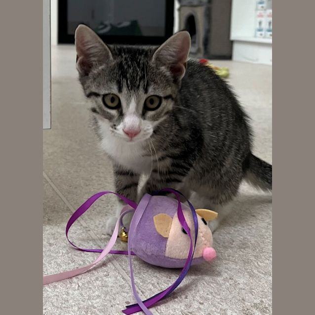 Photo of Natalie (0059)