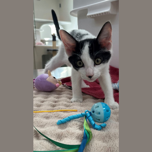 Photo of Dylan (0061)