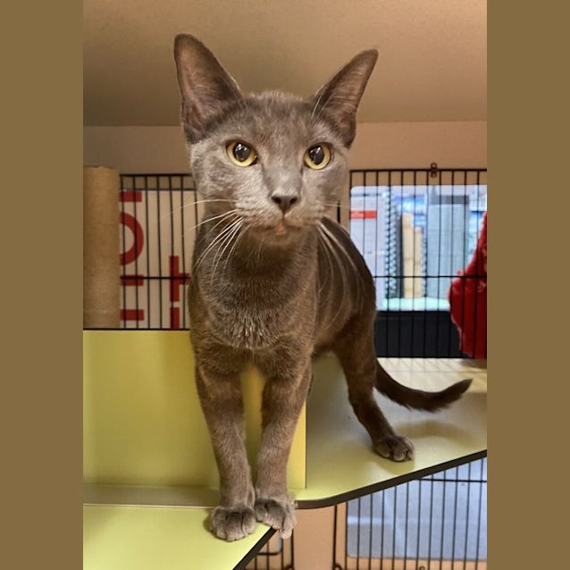 Photo of Minou