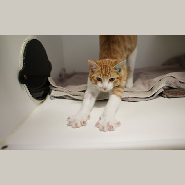 Photo of Rupert 