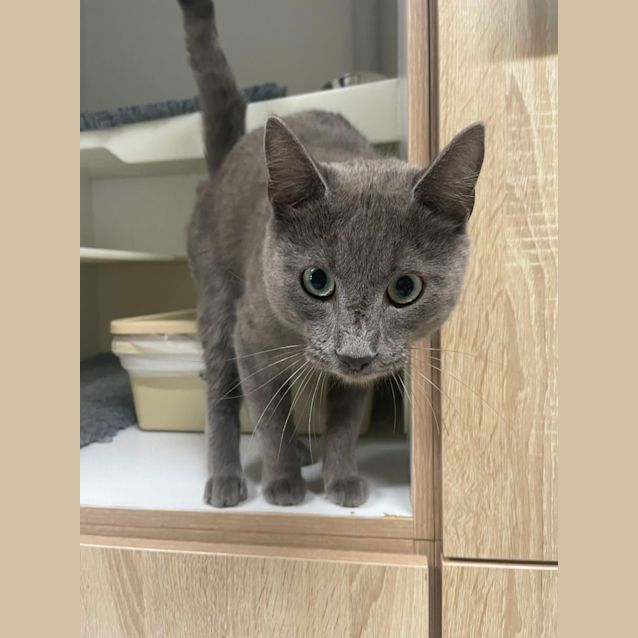 Photo of 💫 Orbit F02816 💫