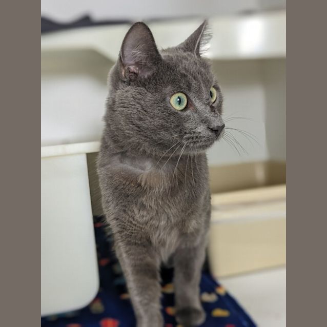 Photo of 💫 Orbit F02816 💫