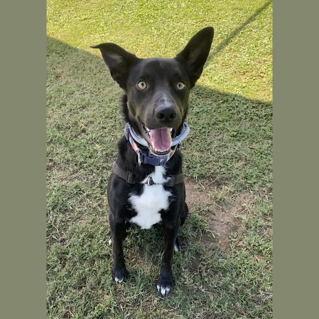 Photo of Timber