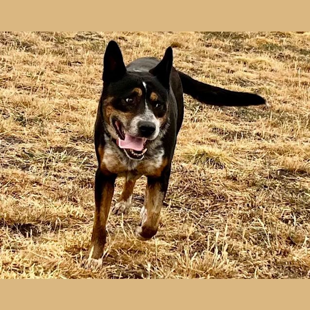 Photo of Riley