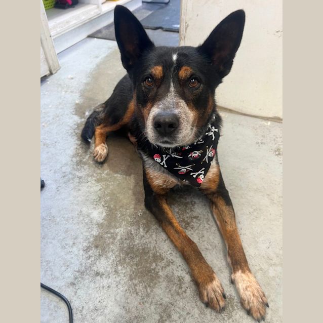 Photo of Riley