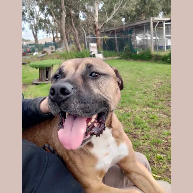 Photo of 👑 Kojak C04852 👑