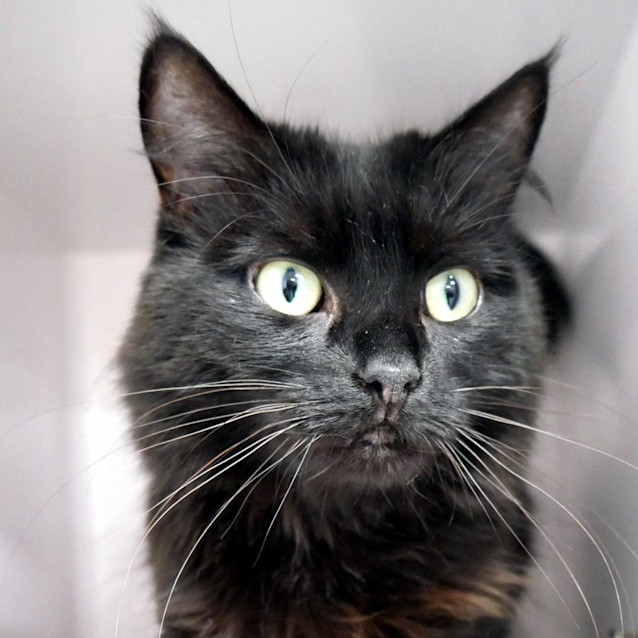 Photo of Reeva Sta011750