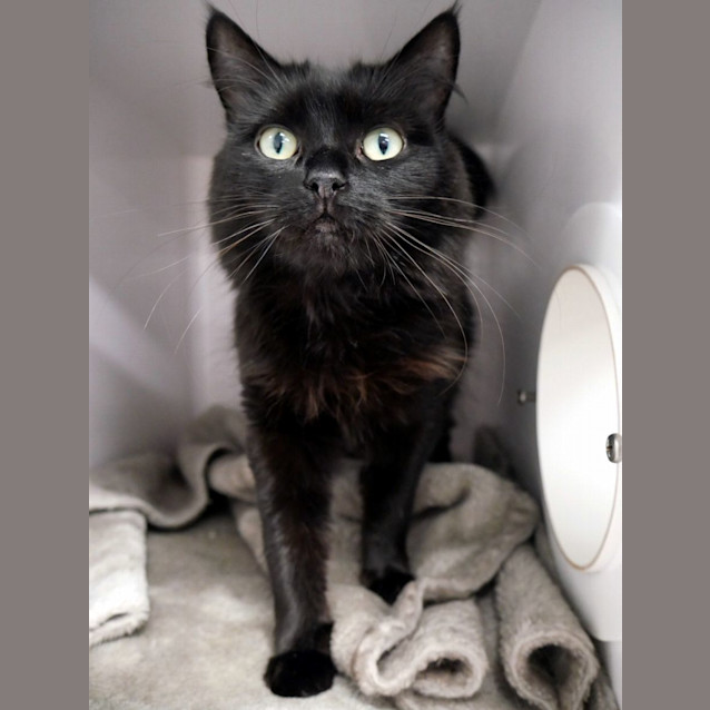 Photo of Reeva Sta011750