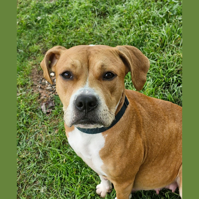 Photo of Lola