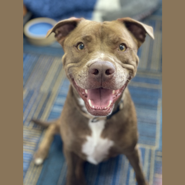 Photo of Lucky