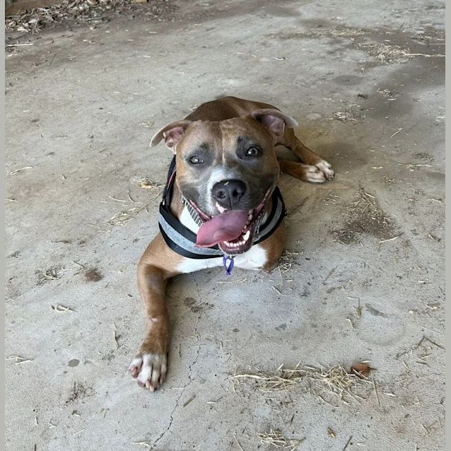 Photo of Clyde
