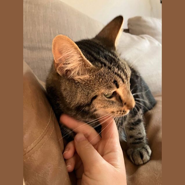 Photo of Furry Styles And Zeperella