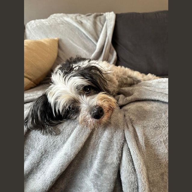 Photo of Jack