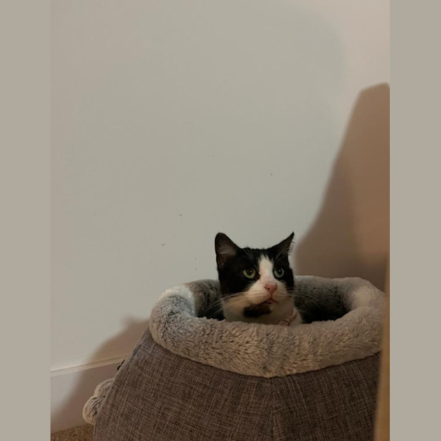 Photo of Delilah