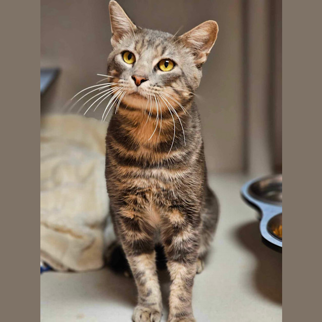 Photo of Humphrey 