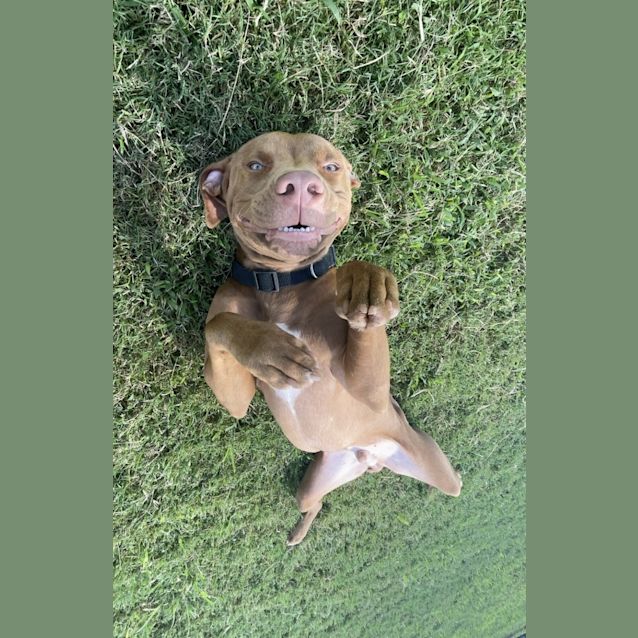 Photo of Jd