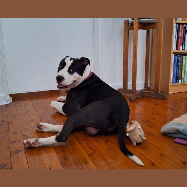 Photo of Chunks