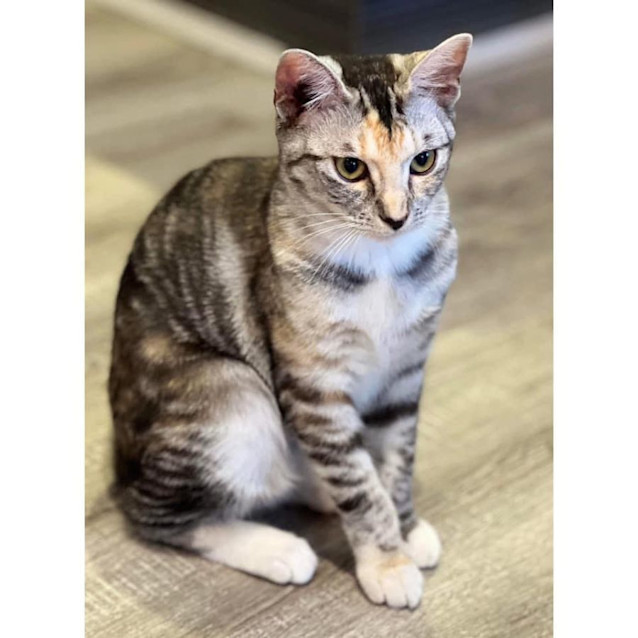 Photo of 10289   Katja