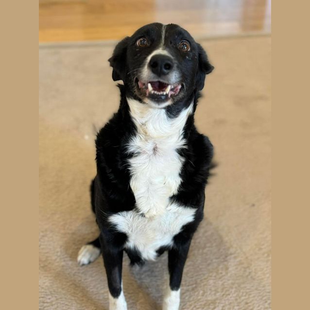 Photo of Luci 