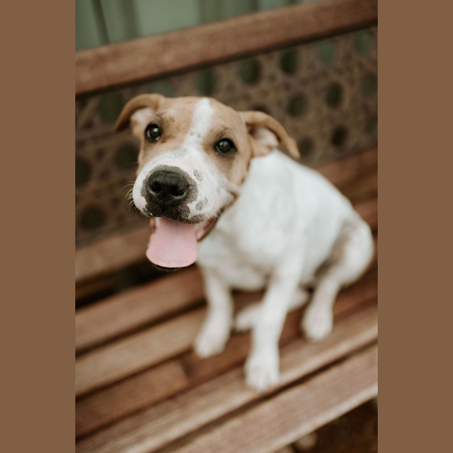 Photo of Luigi Lucia