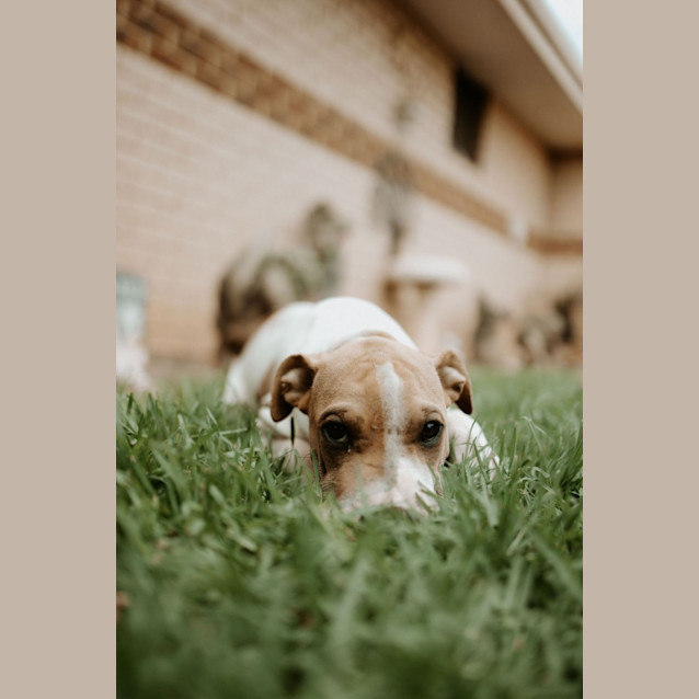 Photo of Luigi Lucia